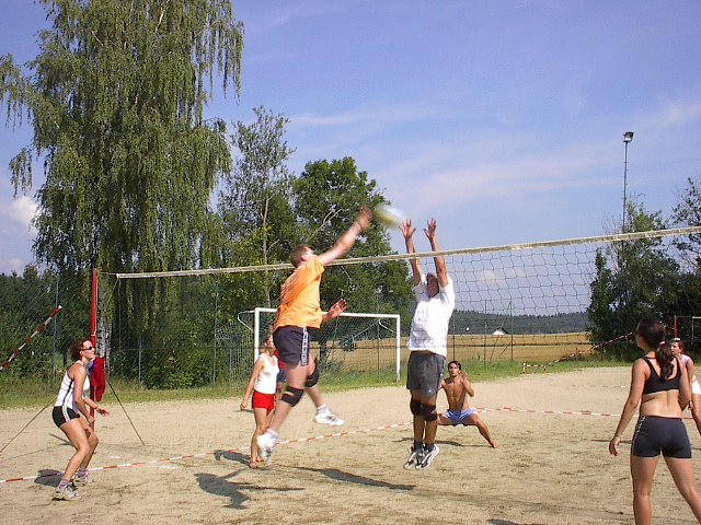 Bayerwald Mixed 2003